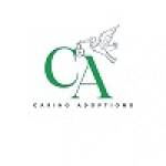 Caring Adoptions Profile Picture
