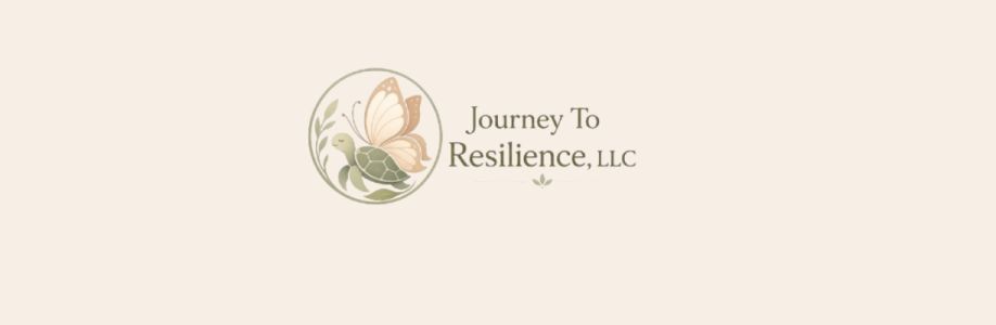 Journey to Resilience LLC Cover Image