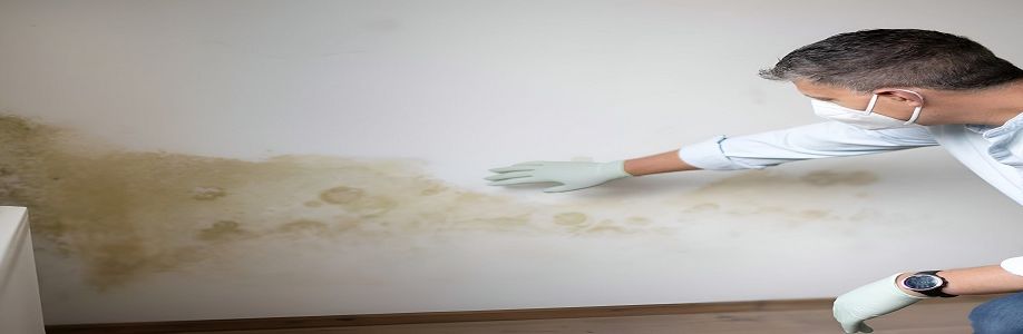 The Mould Assessors Cover Image